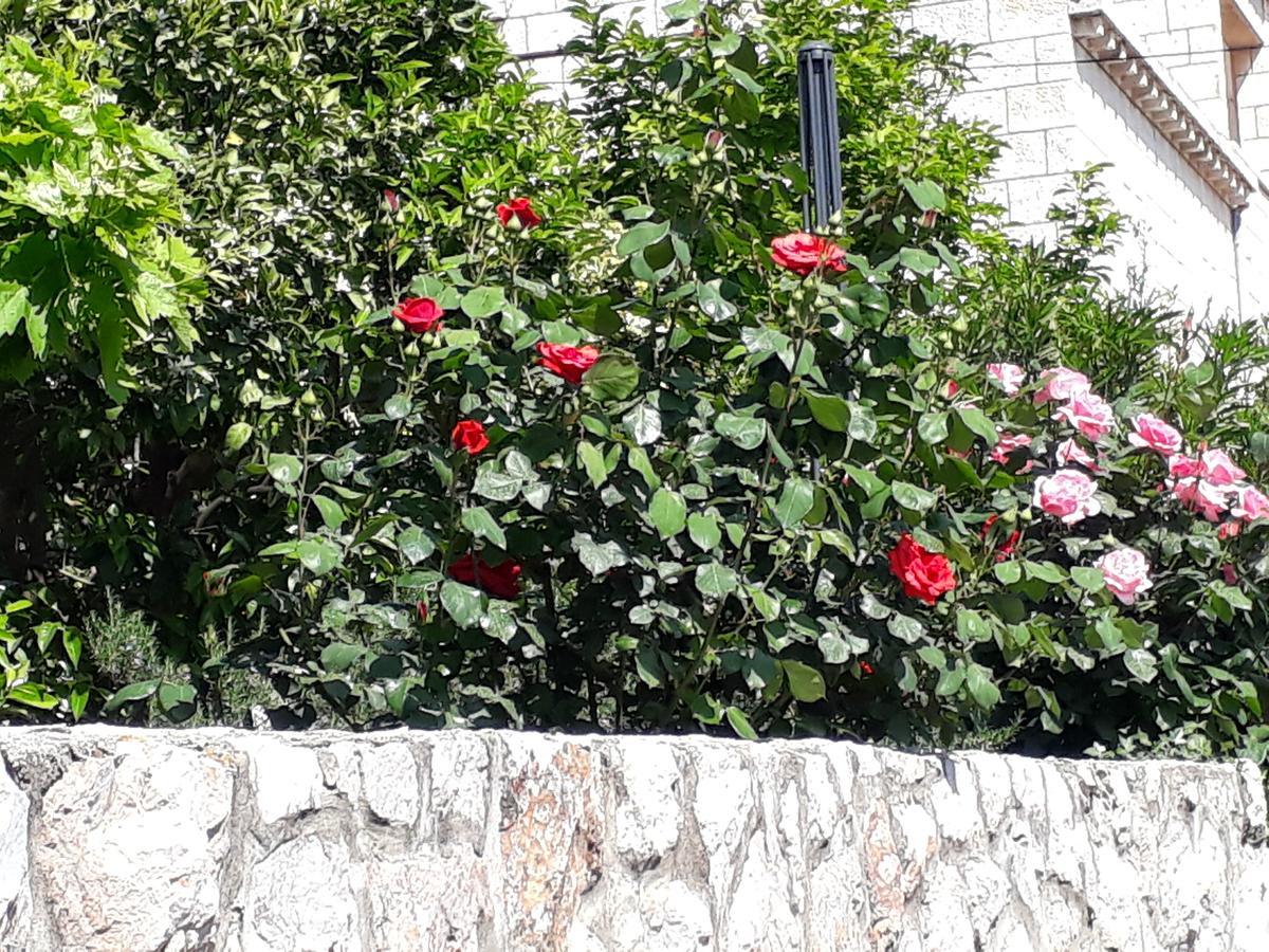 Apartments Jelen Dubrovnik Luaran gambar